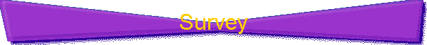 Survey
